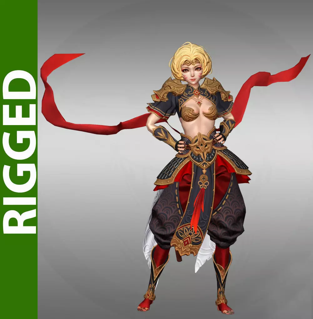 Sun wunkong  3D Rigged Model 3D model_0