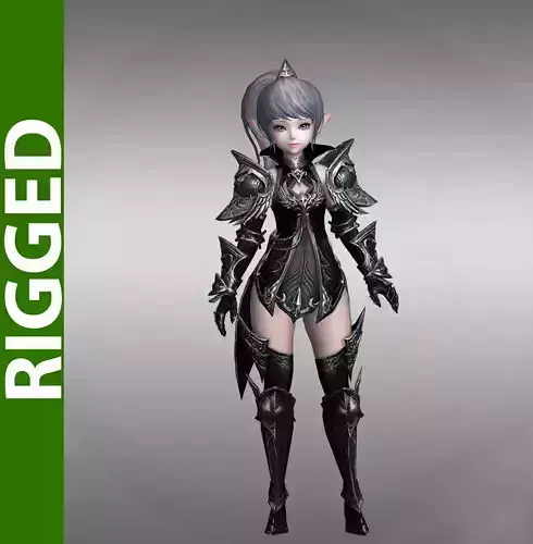 Raven Kingdom 3D Rigged Model