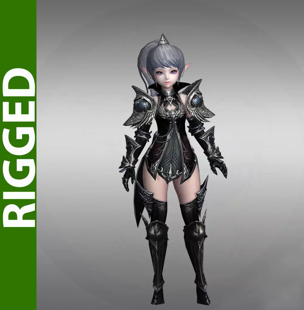 Raven Kingdom 3D Rigged Model 3D model_0
