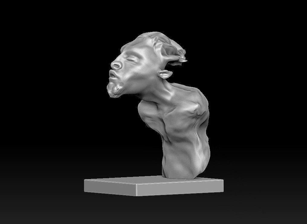 elf man bust 3D print model_15
