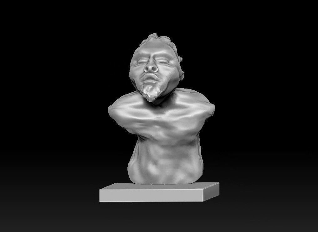 elf man bust 3D print model_18