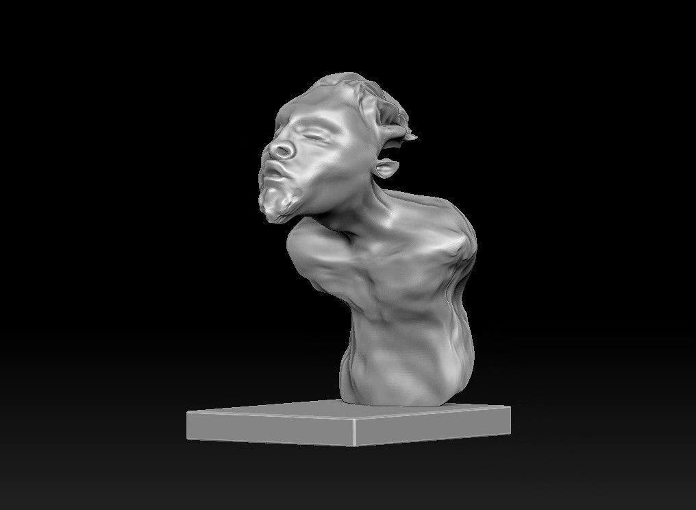 elf man bust 3D print model_16