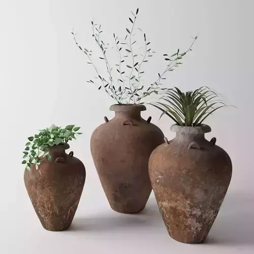 Plants with pottery