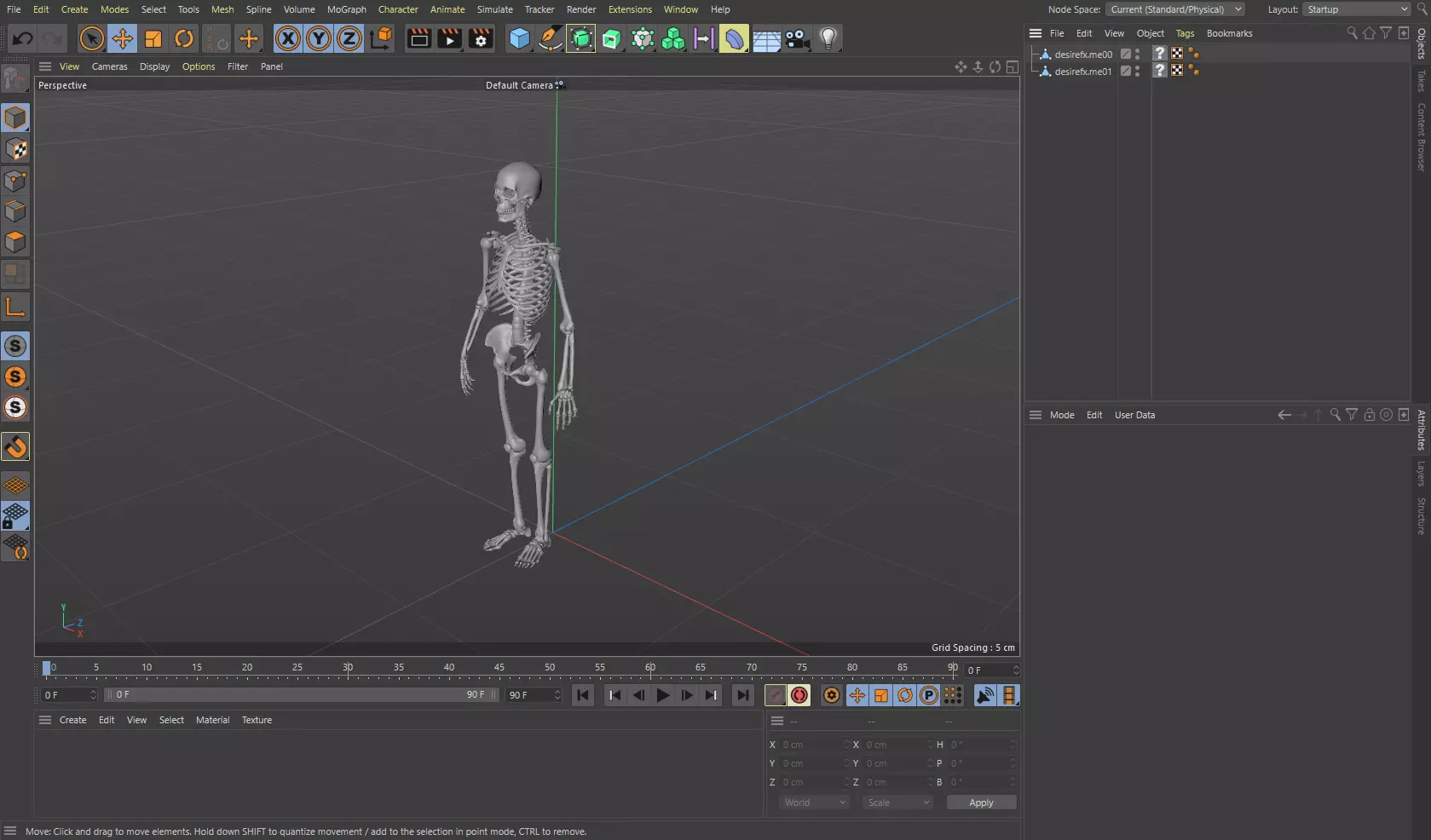 Human Skeleton Caucasian Male Free 3D model_0