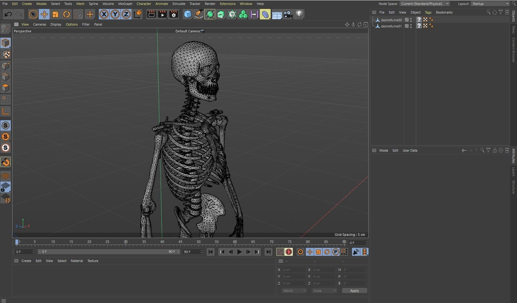 Human Skeleton Caucasian Male Free 3D model_2