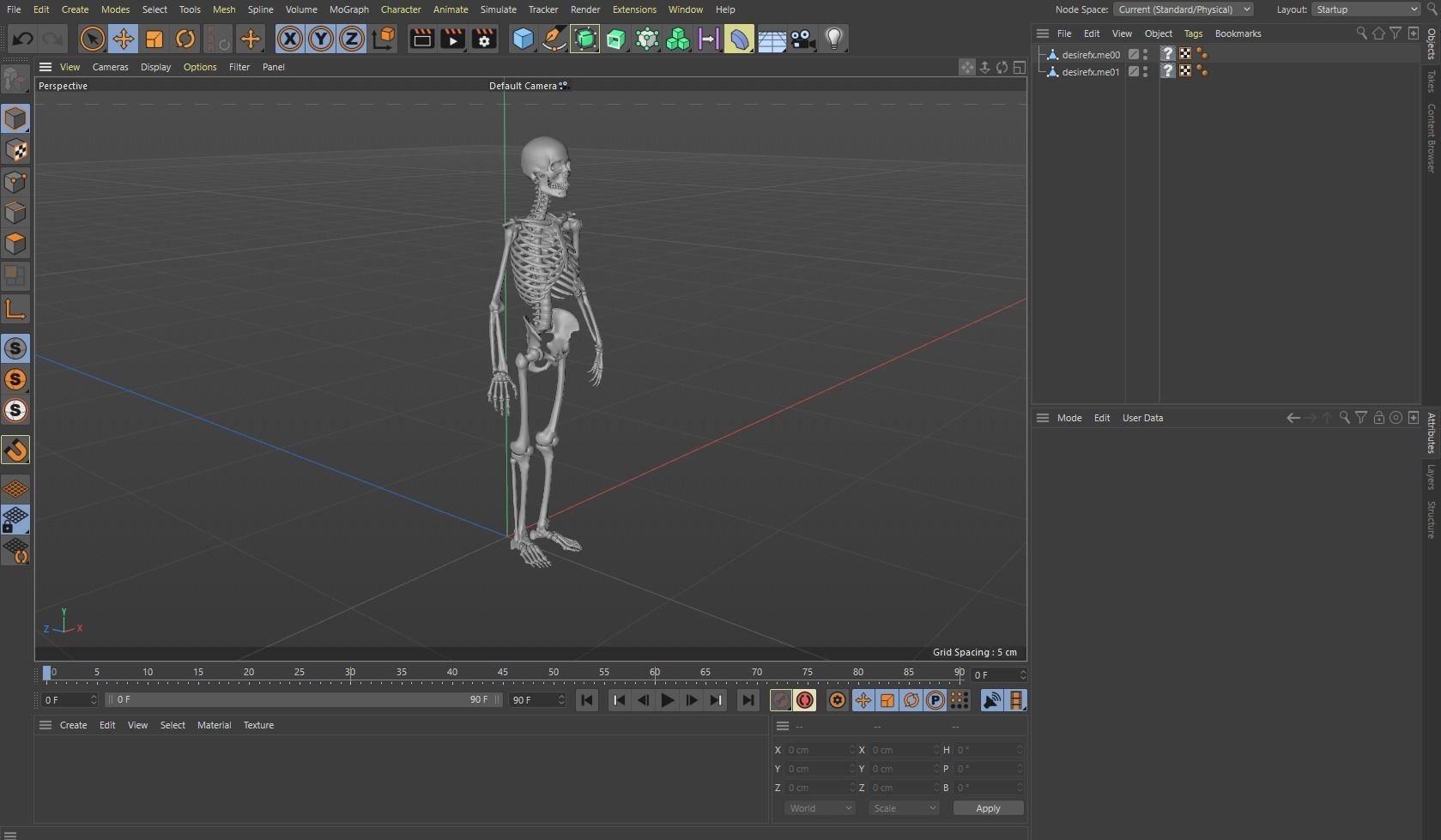 Human Skeleton Caucasian Male Free 3D model_1