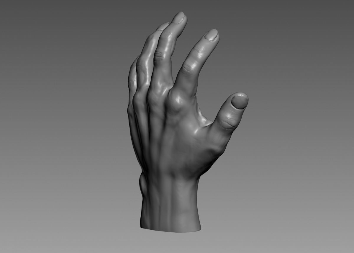 Hand 3d print model 3D print model_21