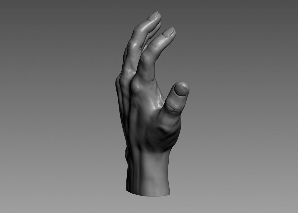 Hand 3d print model 3D print model_18