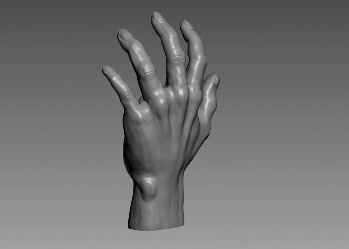 Hand 3d print model 3D print model_30