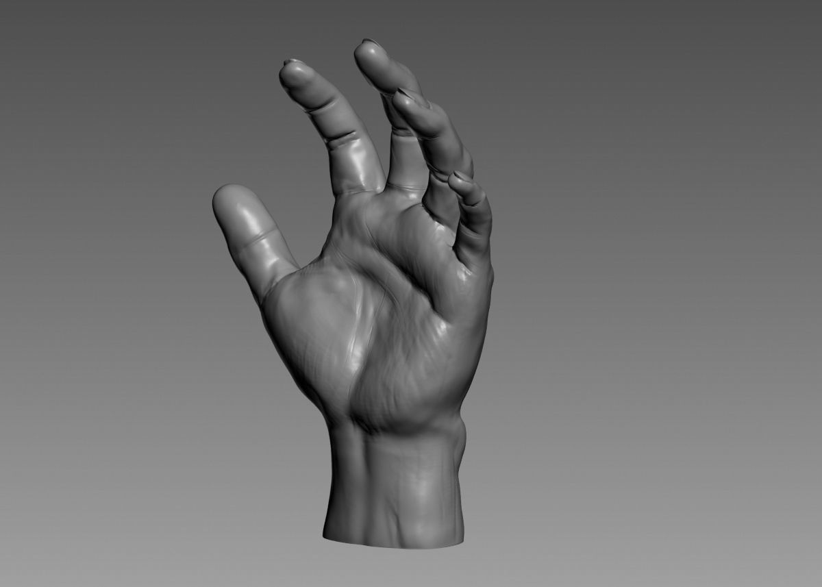 Hand 3d print model 3D print model_41