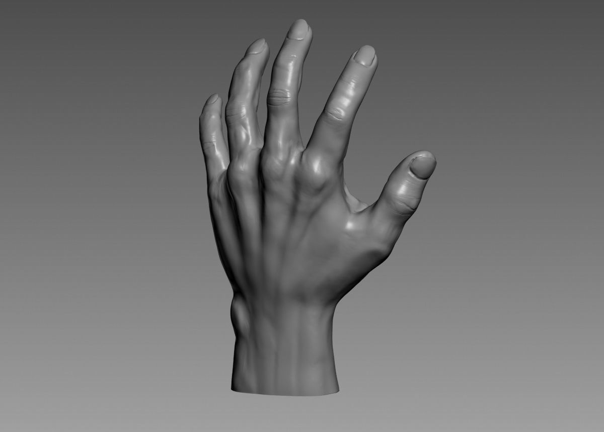 Hand 3d print model 3D print model_23