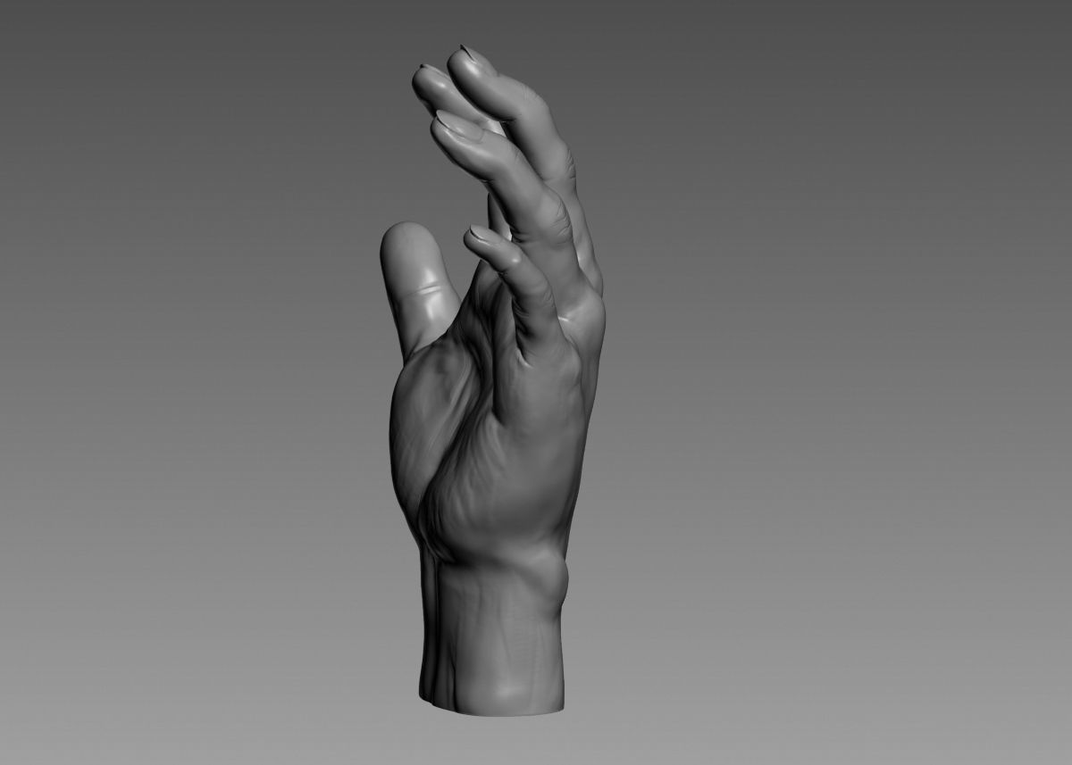 Hand 3d print model 3D print model_37