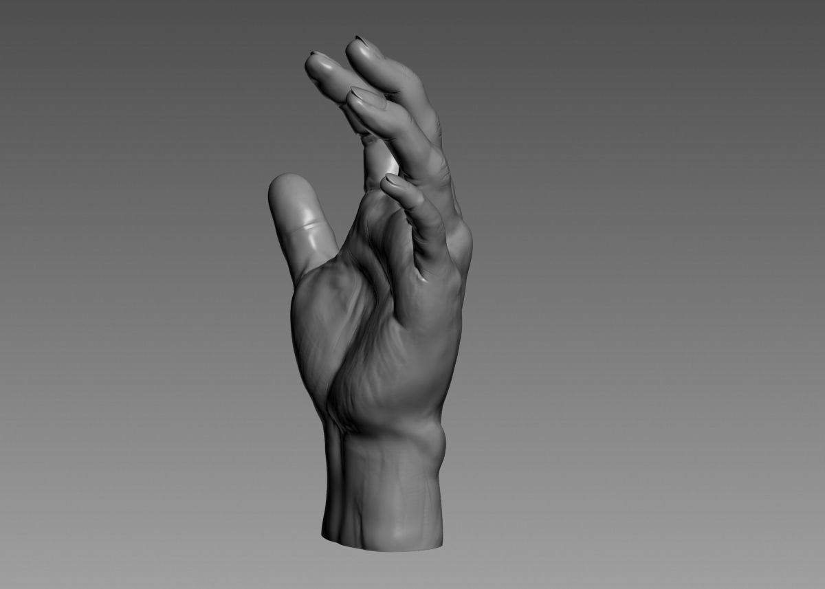 Hand 3d print model 3D print model_38