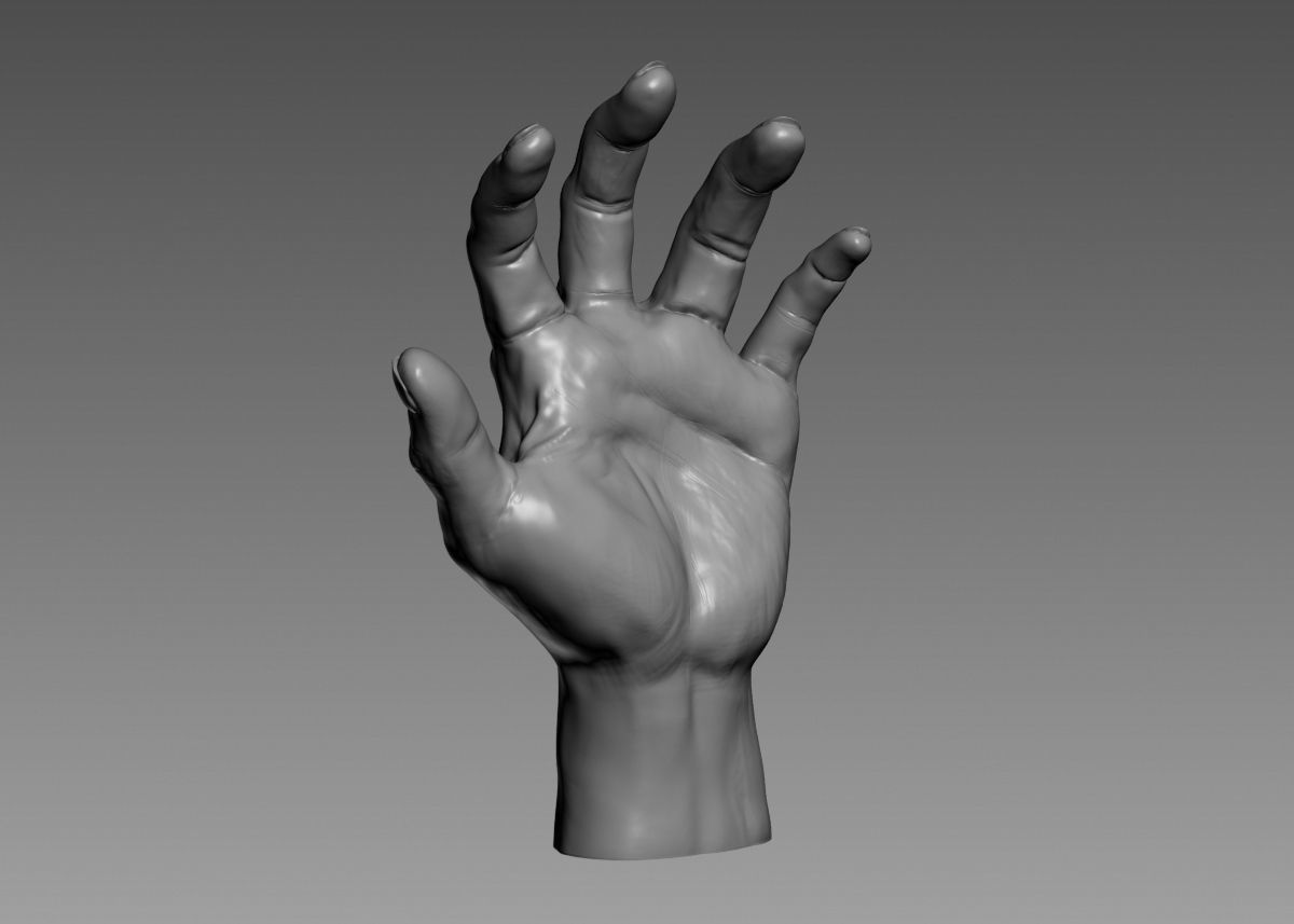 Hand 3d print model 3D print model_9