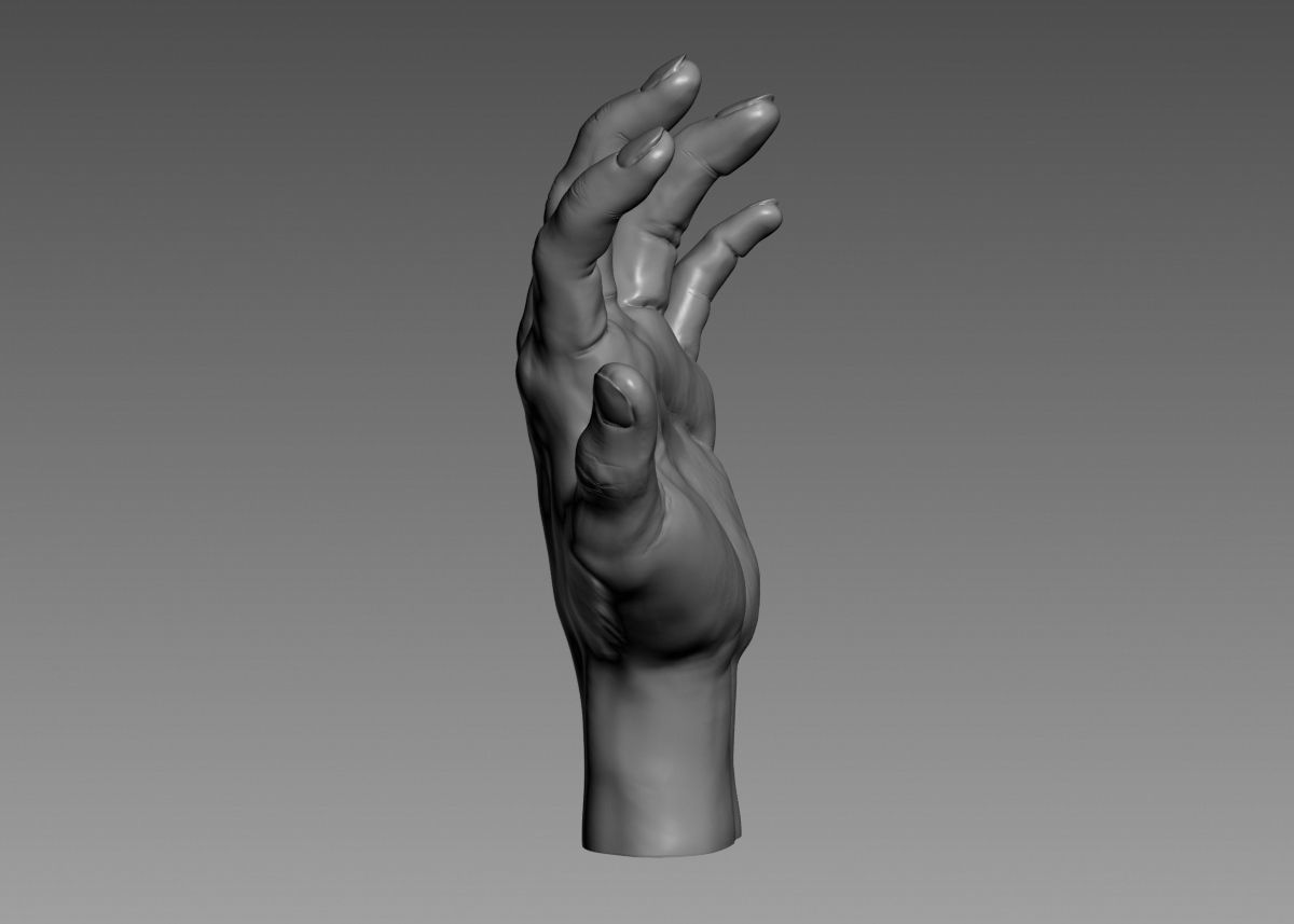 Hand 3d print model 3D print model_14