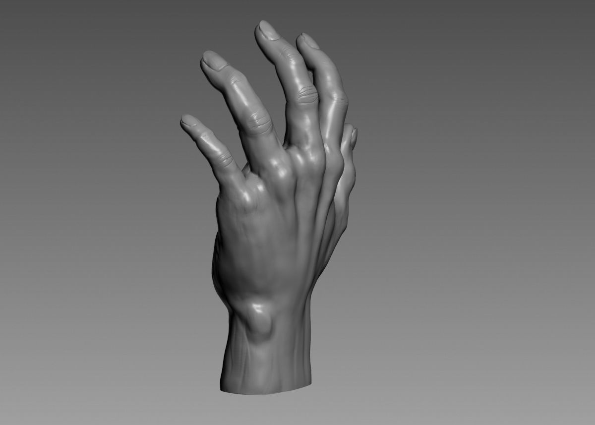 Hand 3d print model 3D print model_31