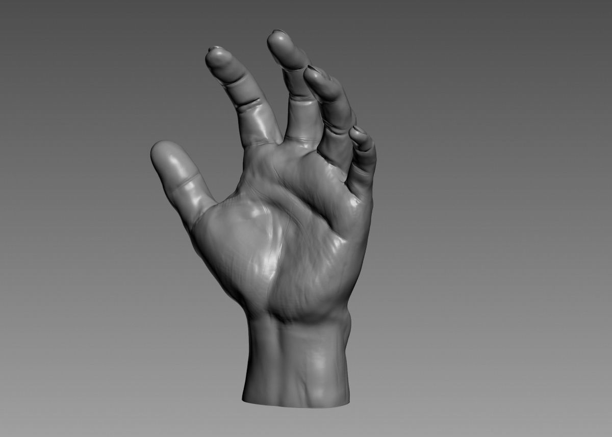 Hand 3d print model 3D print model_42