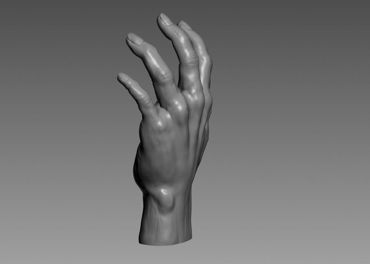 Hand 3d print model 3D print model_32