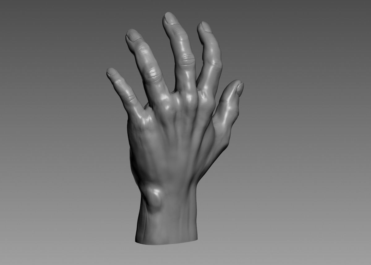 Hand 3d print model 3D print model_29