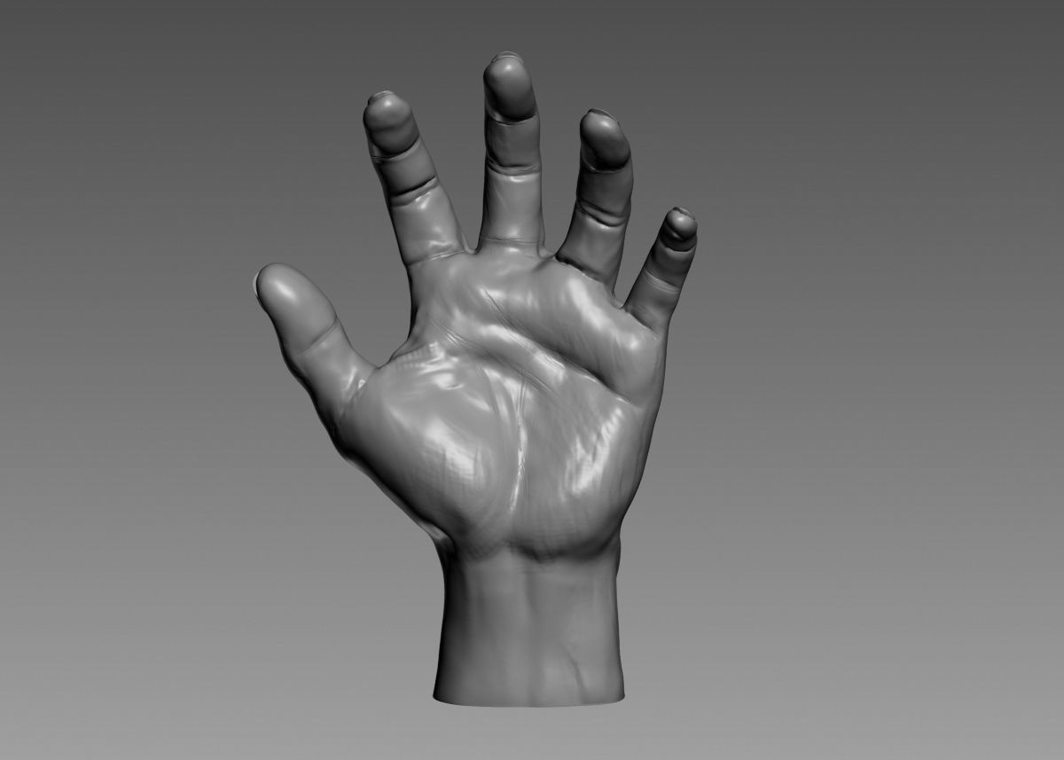 Hand 3d print model 3D print model_45