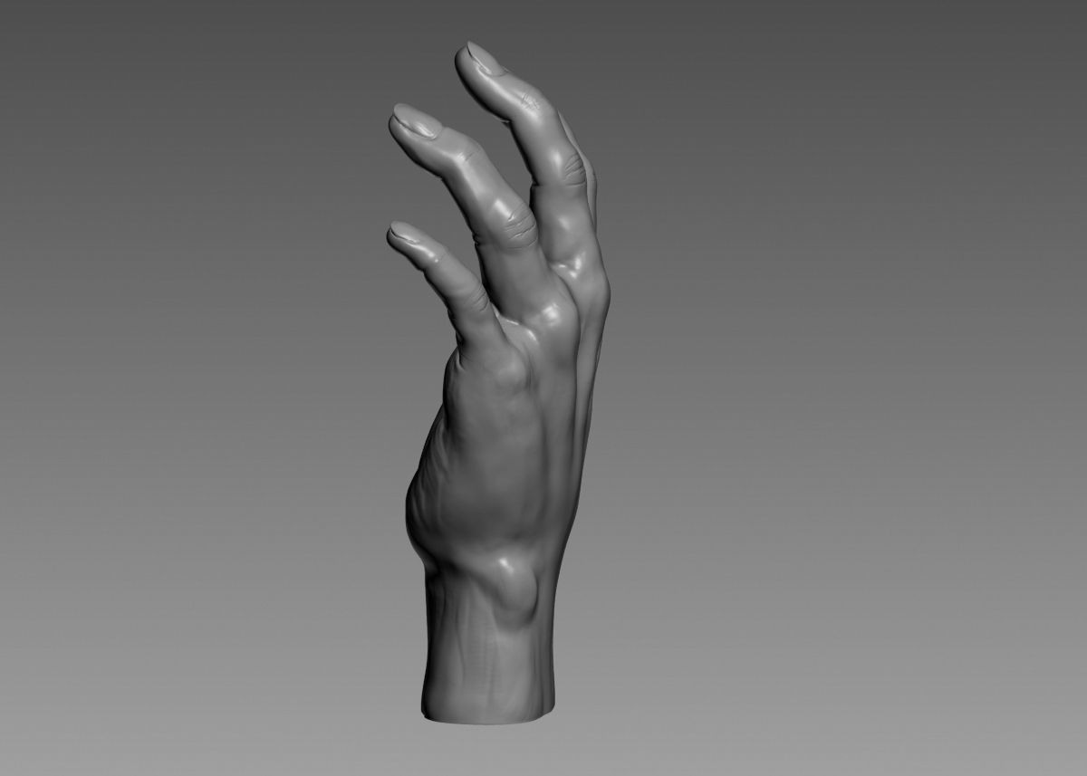 Hand 3d print model 3D print model_34