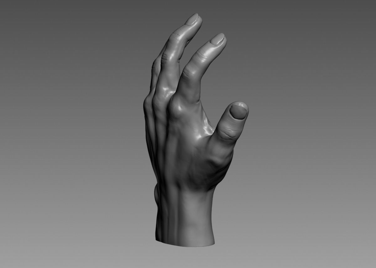 Hand 3d print model 3D print model_19