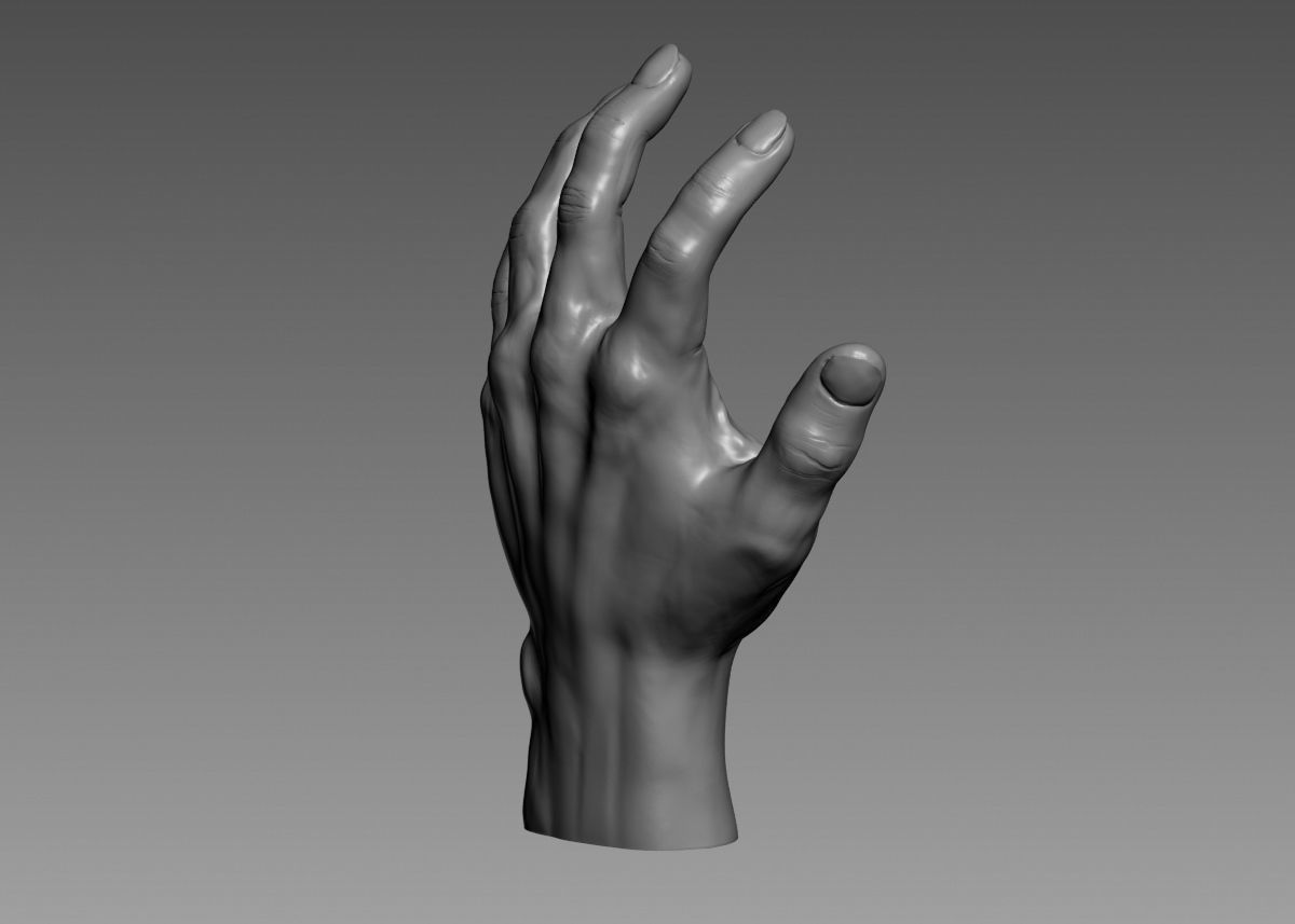 Hand 3d print model 3D print model_20