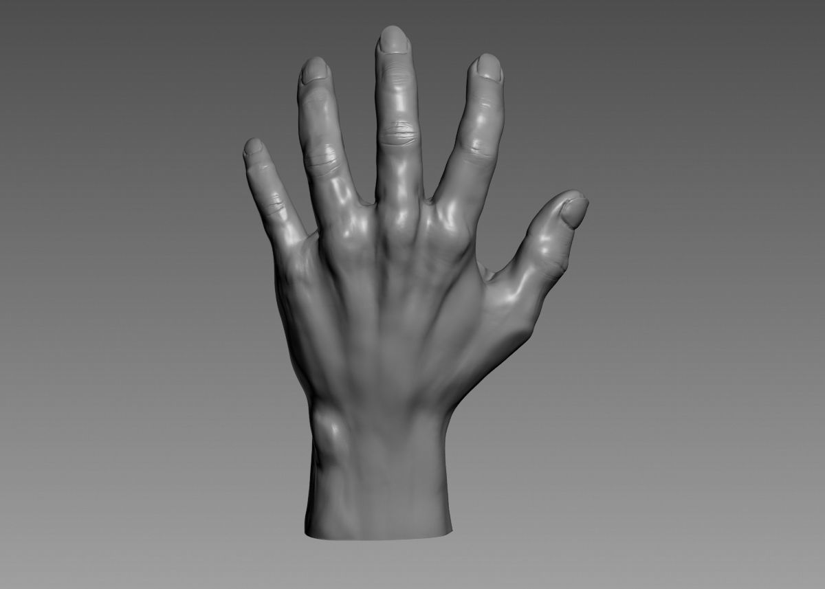 Hand 3d print model 3D print model_26