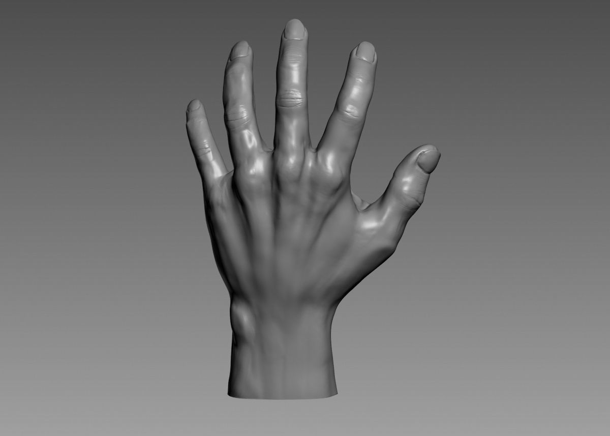 Hand 3d print model 3D print model_25