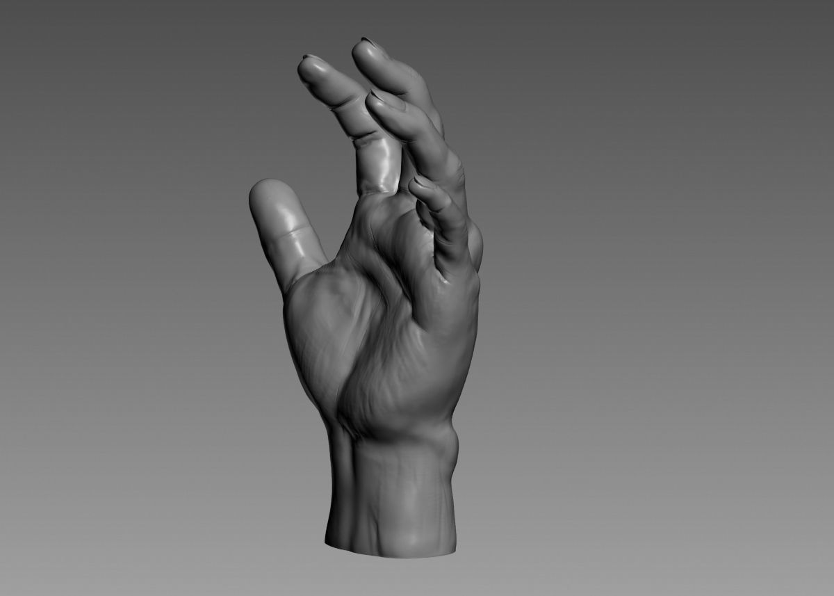 Hand 3d print model 3D print model_39
