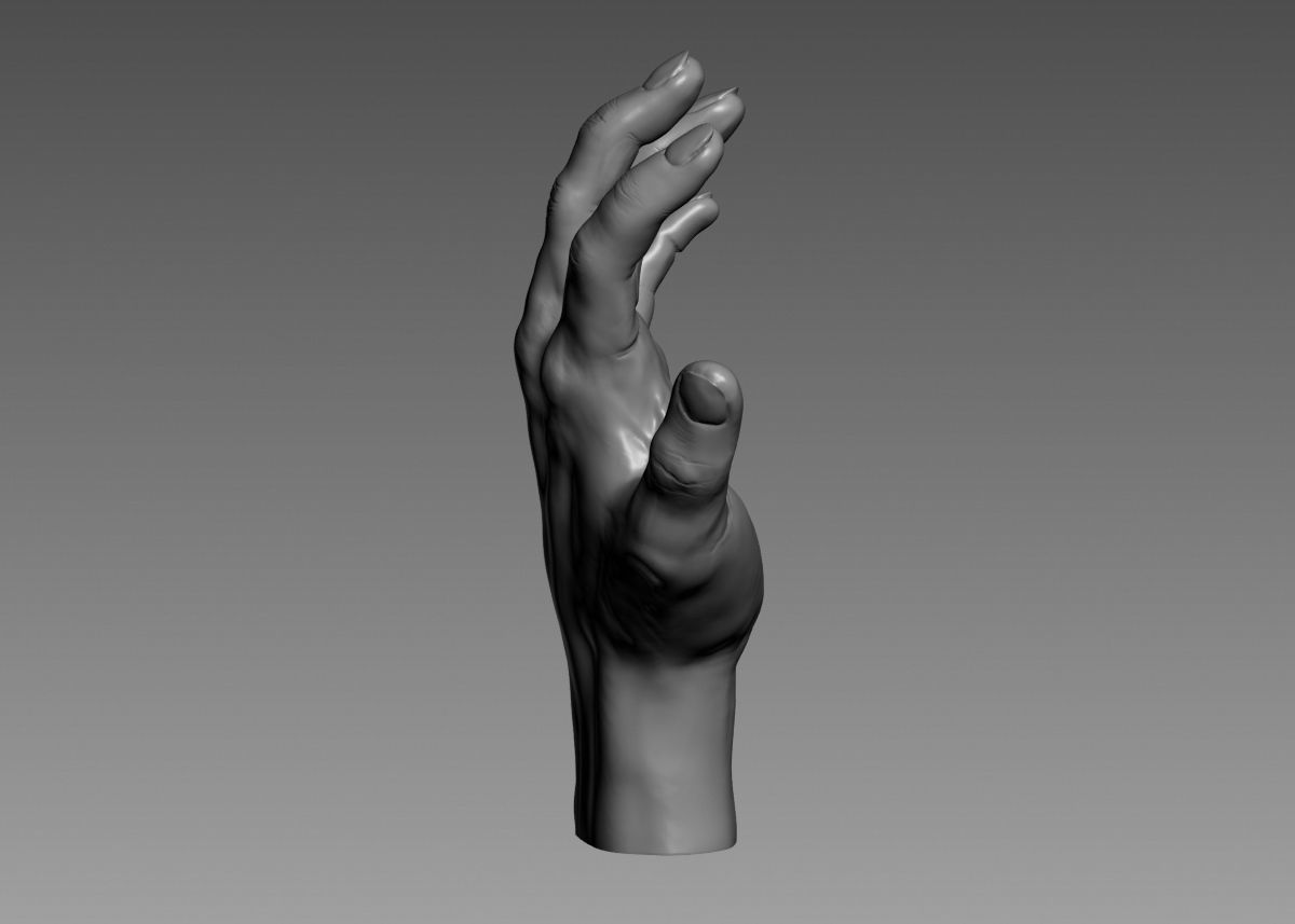 Hand 3d print model 3D print model_16
