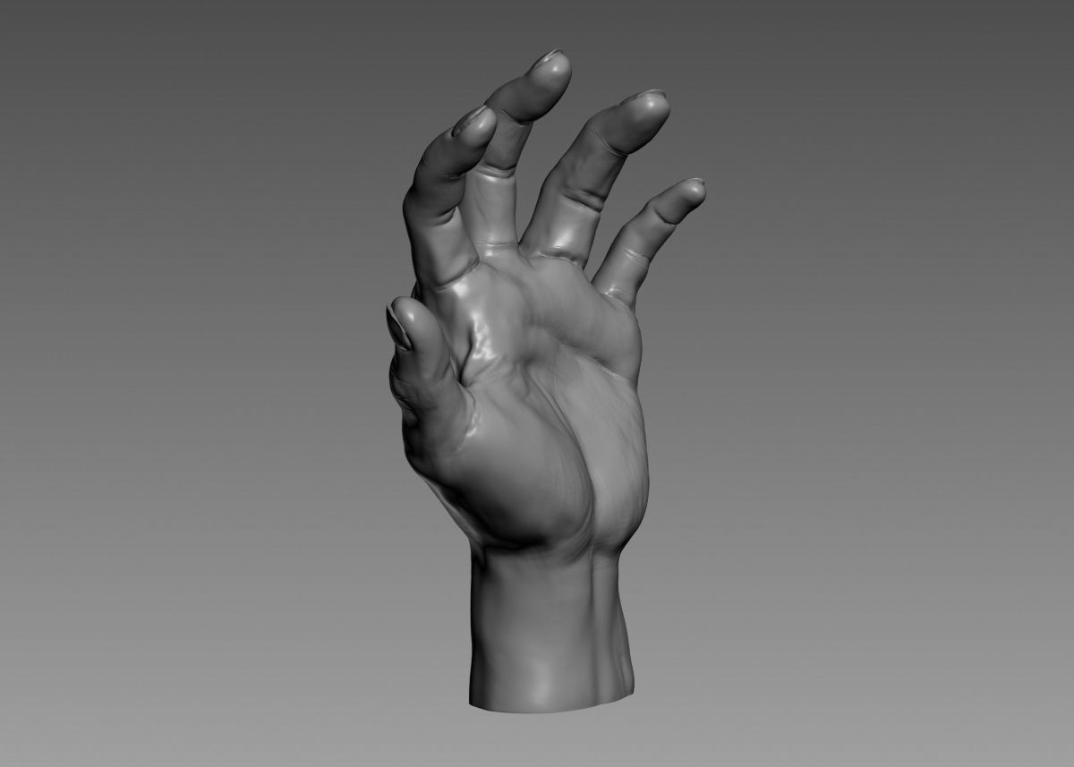 Hand 3d print model 3D print model_11