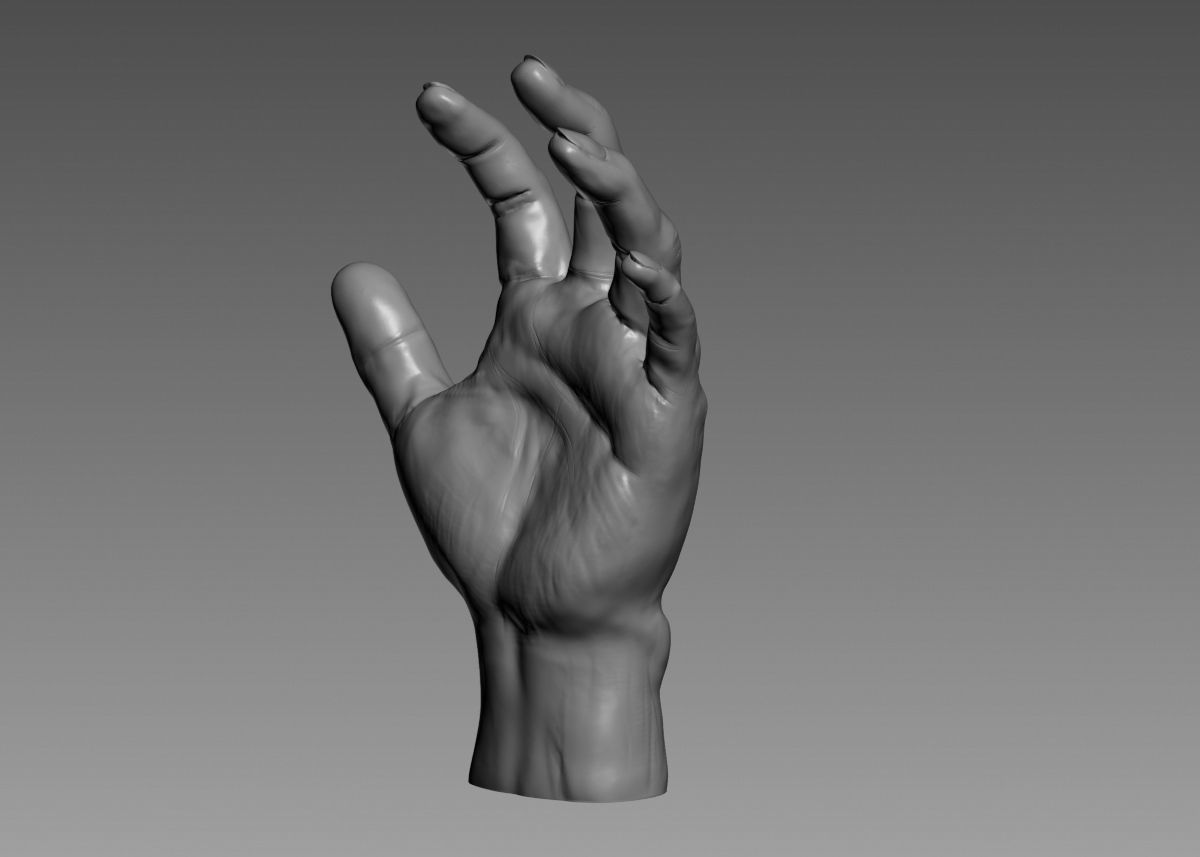 Hand 3d print model 3D print model_40