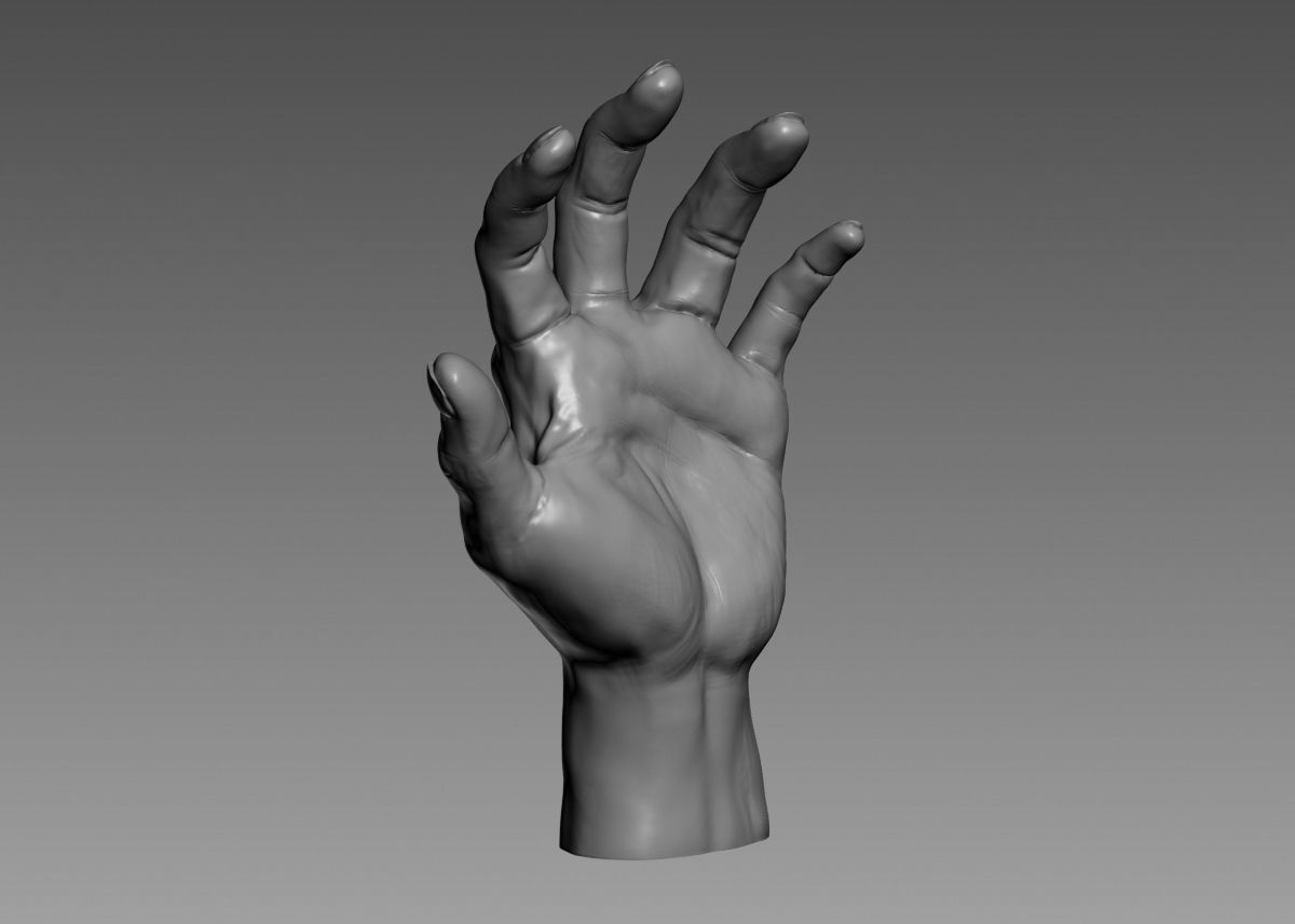 Hand 3d print model 3D print model_10