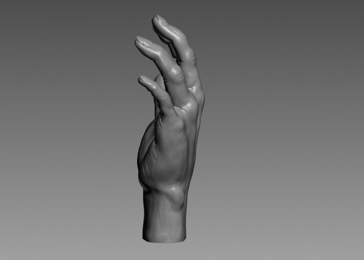 Hand 3d print model 3D print model_35