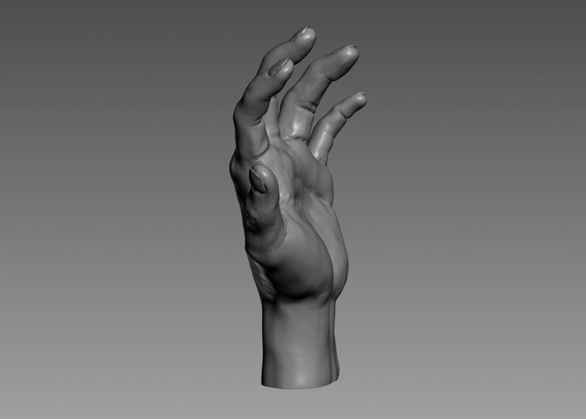 Hand 3d print model 3D print model_13
