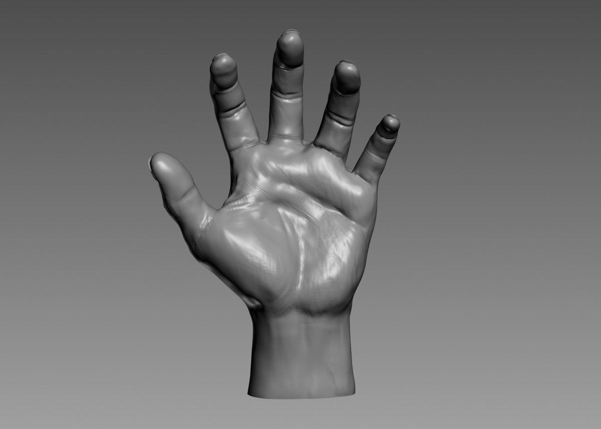 Hand 3d print model 3D print model_46