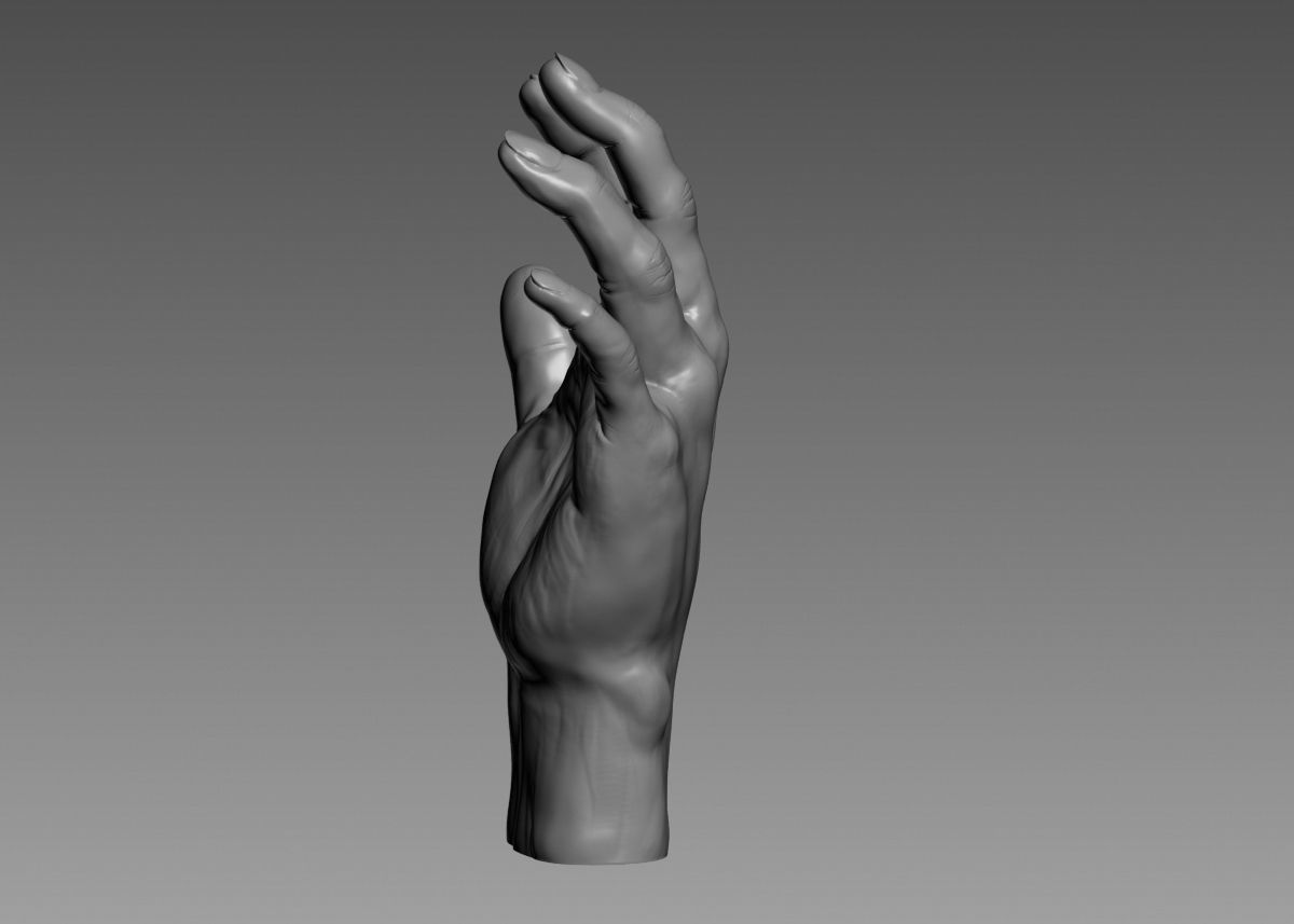Hand 3d print model 3D print model_36