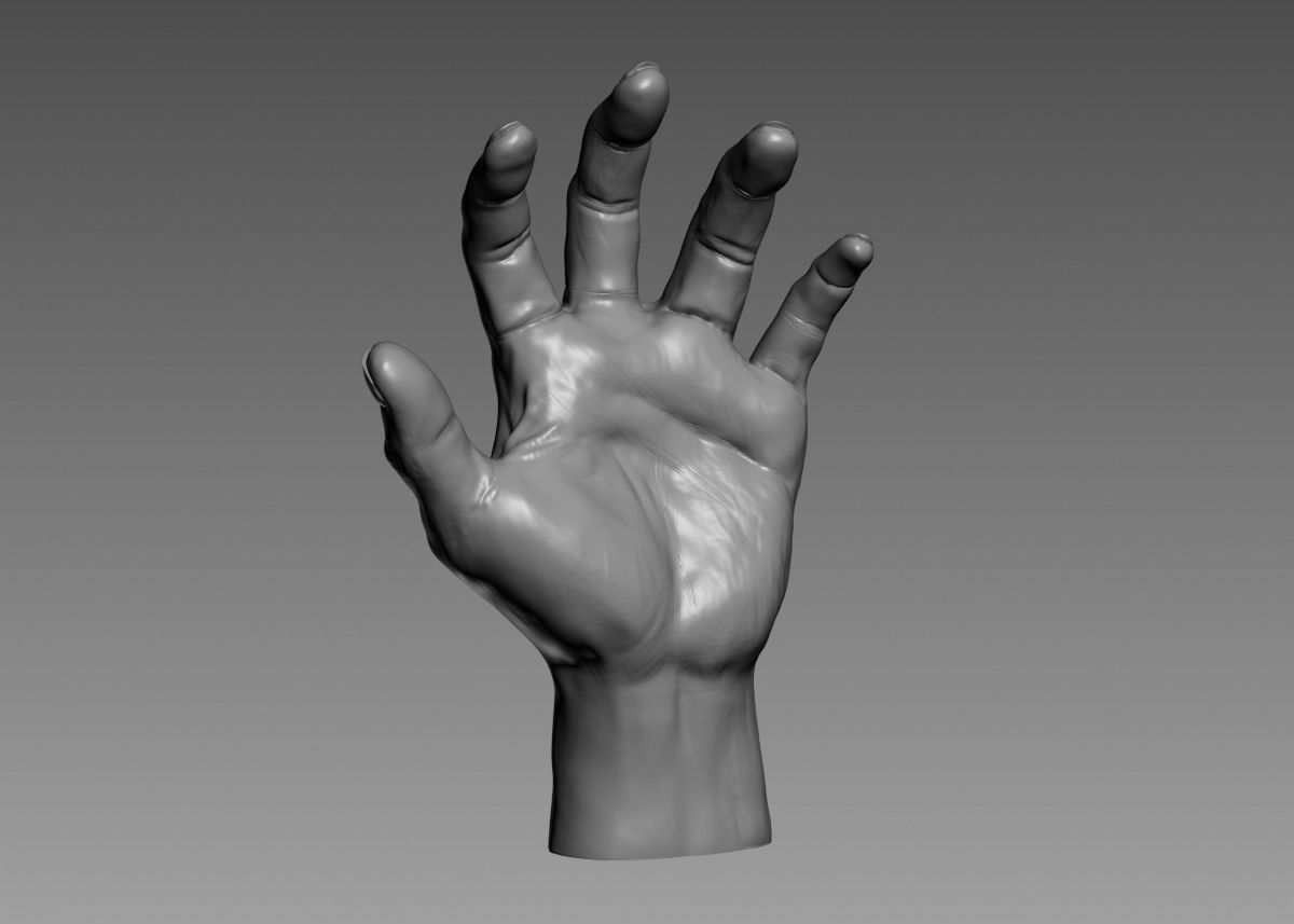 Hand 3d print model 3D print model_48