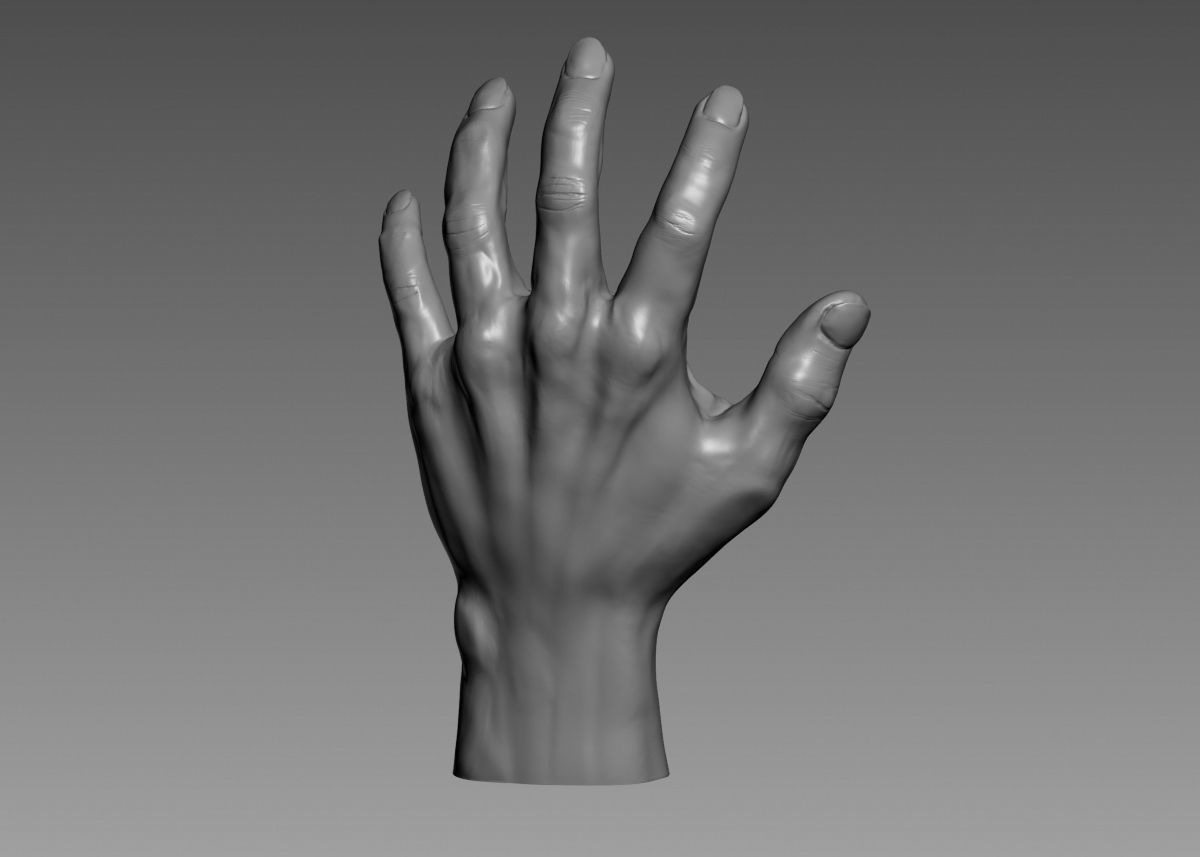 Hand 3d print model 3D print model_24