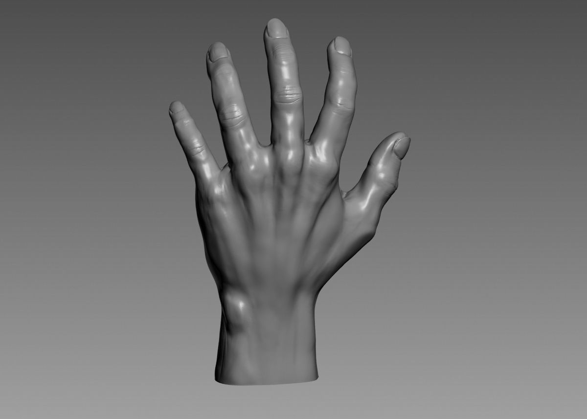 Hand 3d print model 3D print model_27