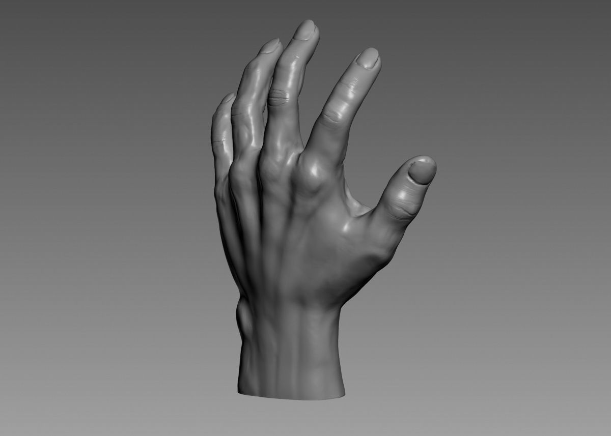 Hand 3d print model 3D print model_22