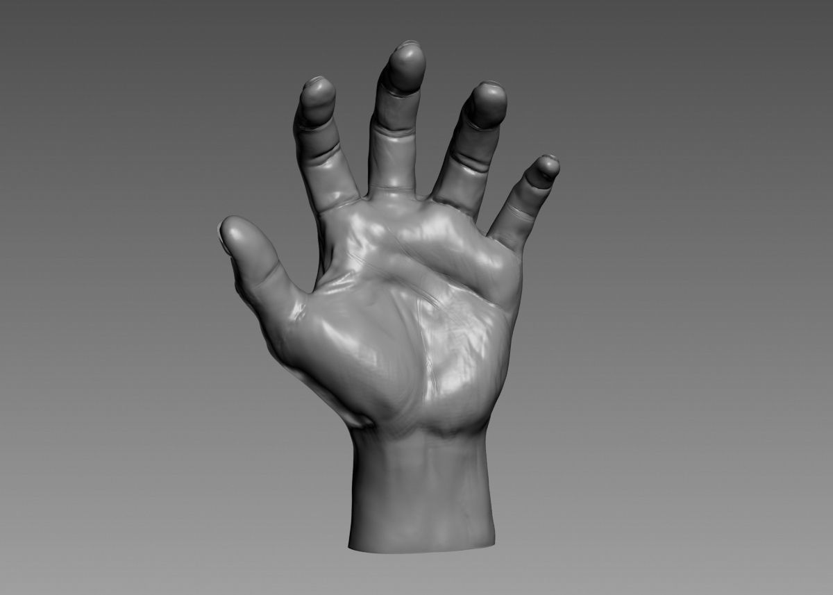 Hand 3d print model 3D print model_47