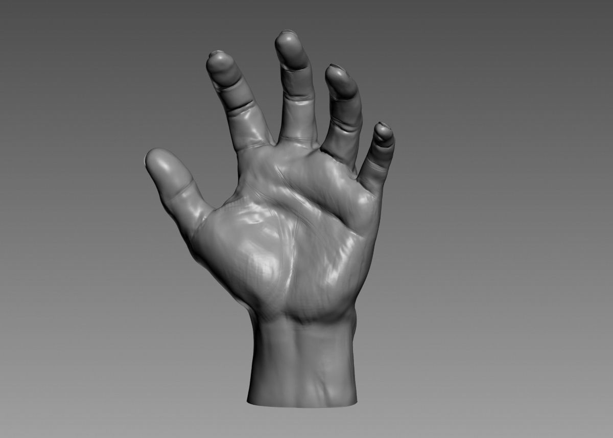Hand 3d print model 3D print model_44