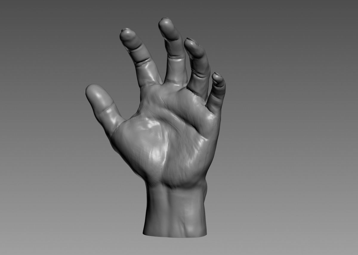 Hand 3d print model 3D print model_43