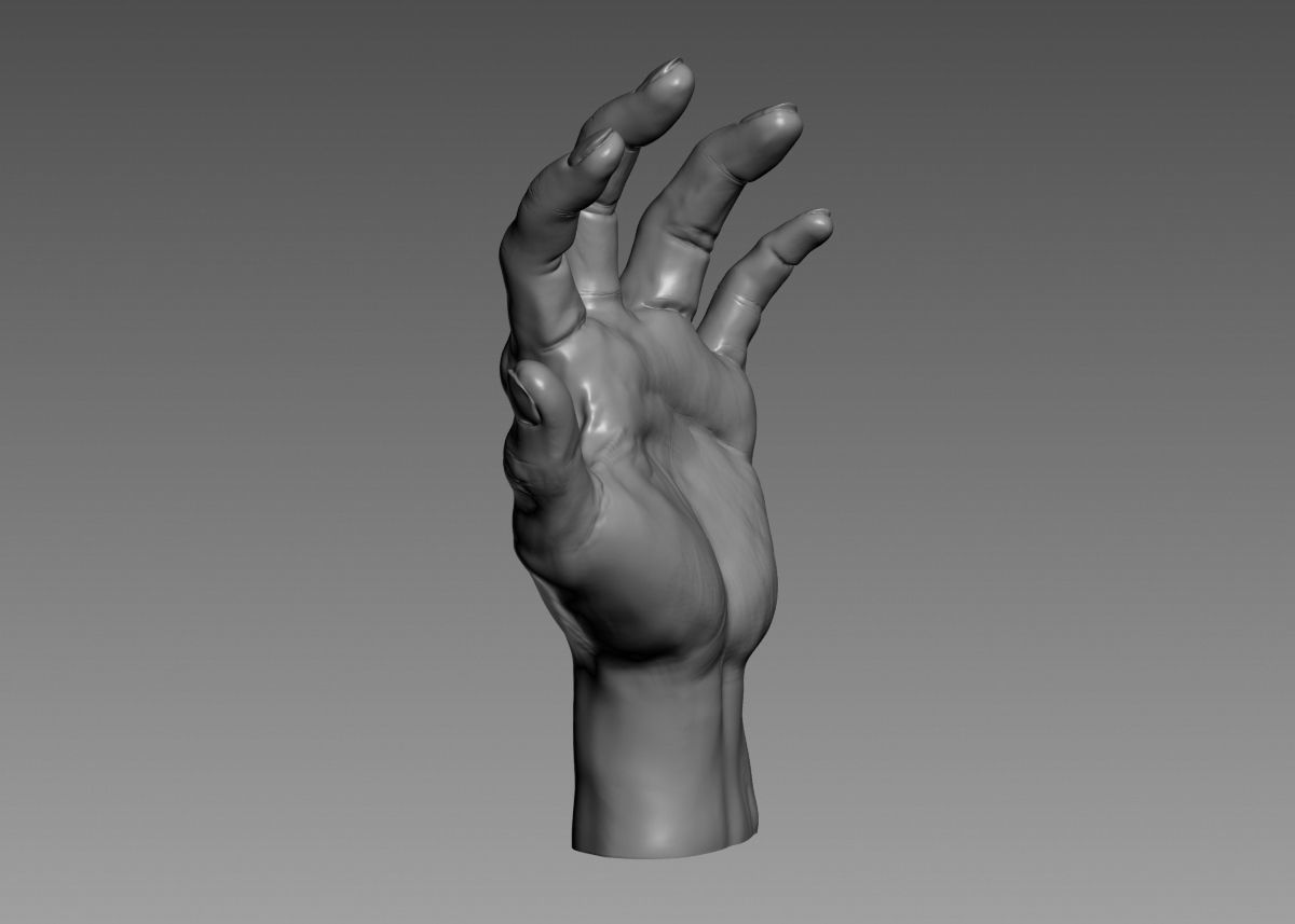 Hand 3d print model 3D print model_12