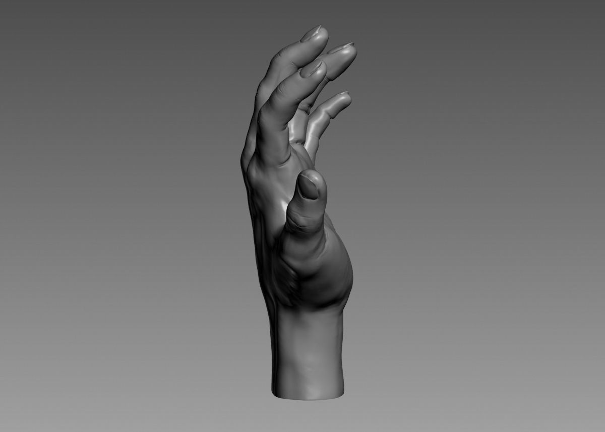 Hand 3d print model 3D print model_15