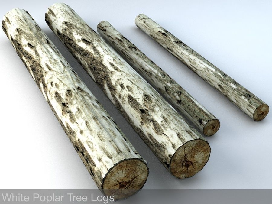 Timberwood Logs Mega Pack Low-poly 3D model_9