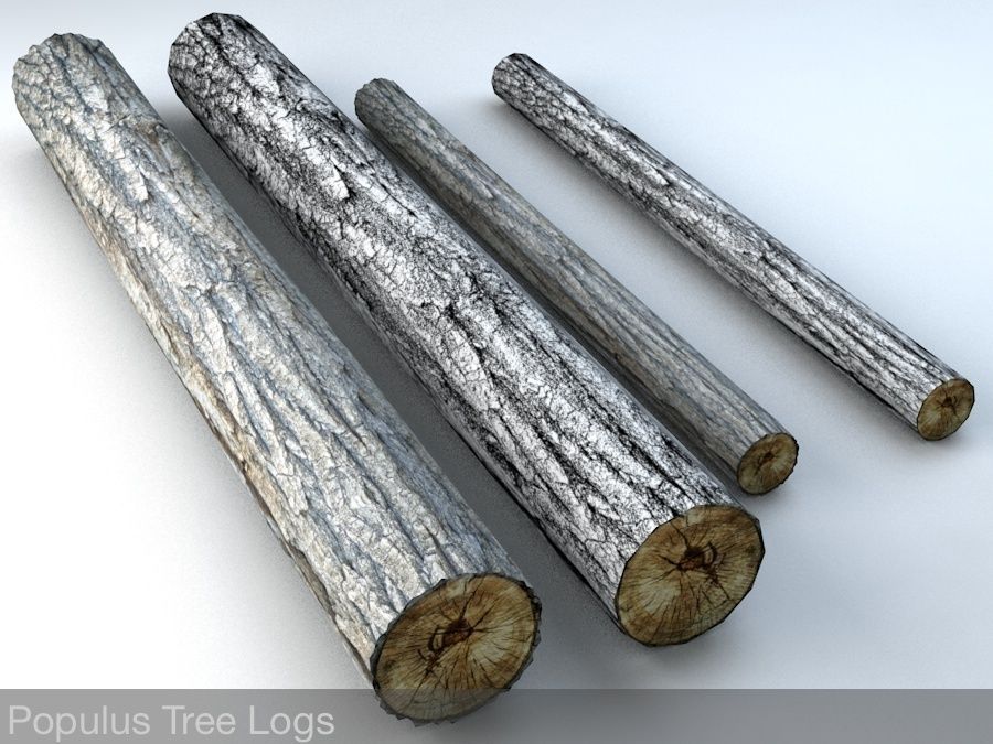 Timberwood Logs Mega Pack Low-poly 3D model_8