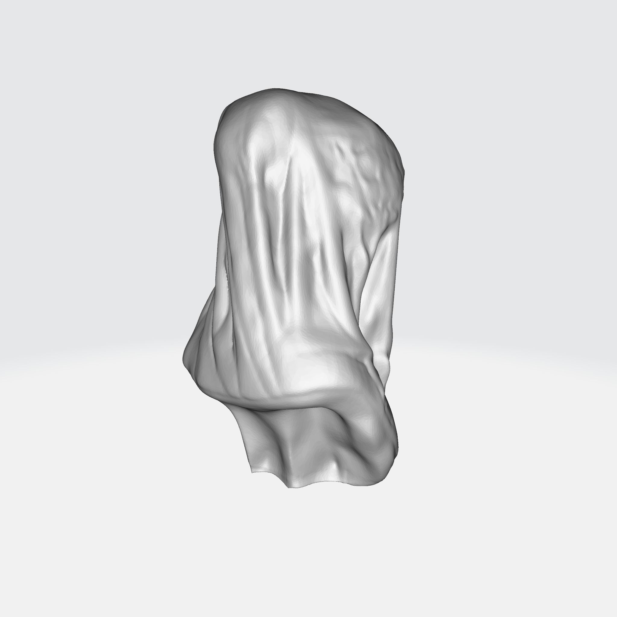 The Veiled Virgin by Giovanni Strazza 3D print model_5